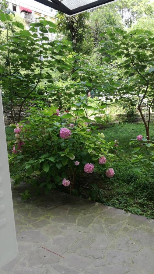 Vracar Krunska Jamiva Apartment เบลเกรด ภายนอก รูปภาพ